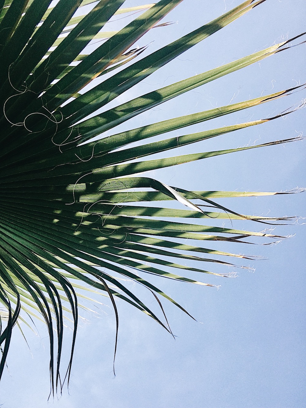 Bienvenue chez moi - Blog Mariage Madame C