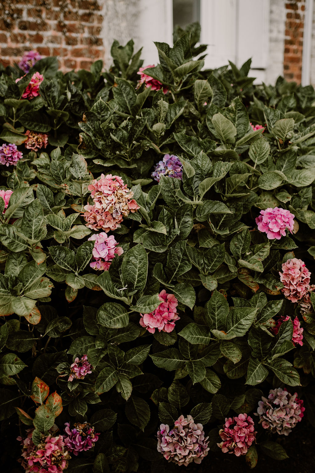 Mignonne, allons voir si la Rose - Blog Mariage Madame C Mignonne, allons voir si la Rose - Blog Mariage Madame C