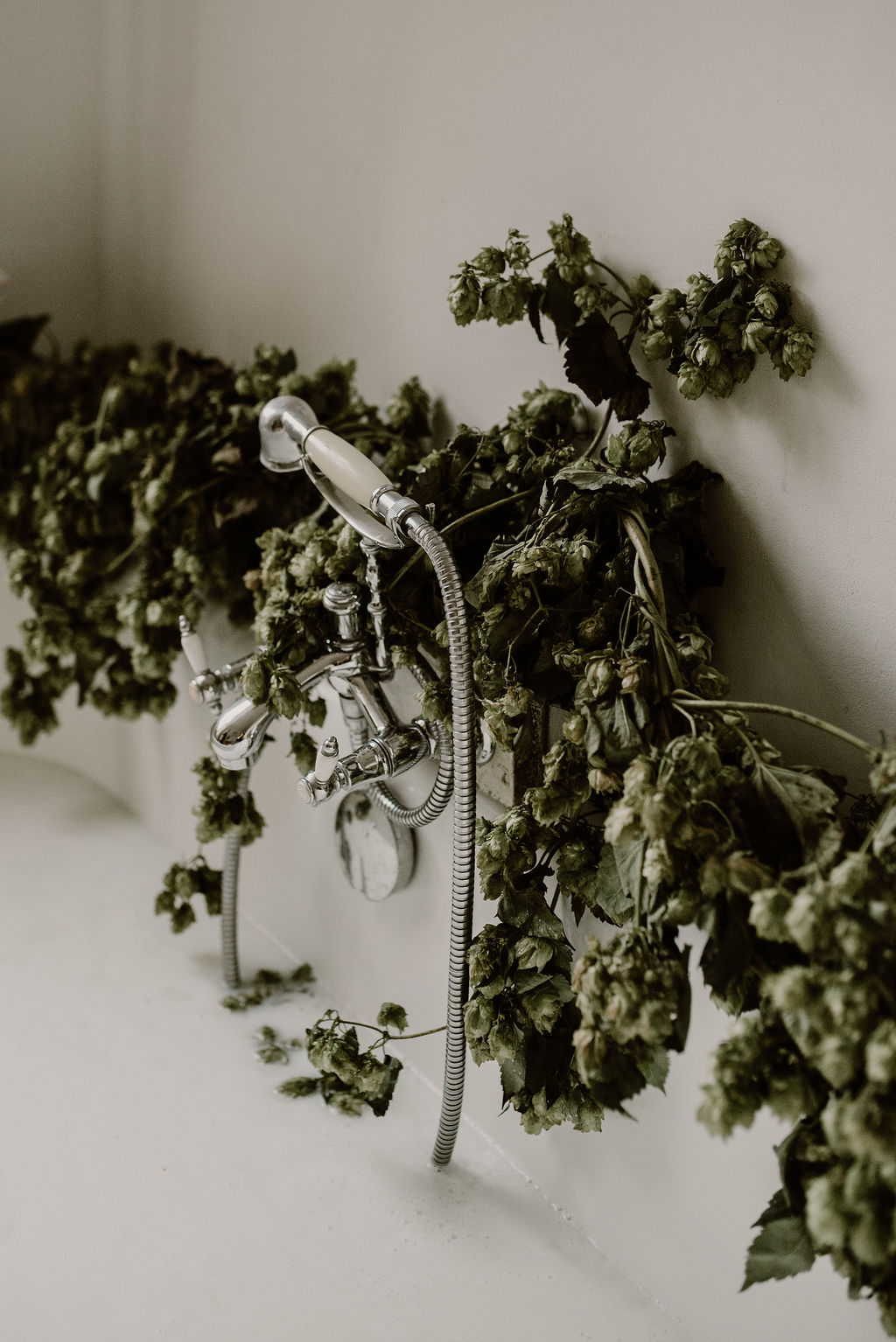 Mignonne, allons voir si la Rose - Blog Mariage Madame C Mignonne, allons voir si la Rose - Blog Mariage Madame C