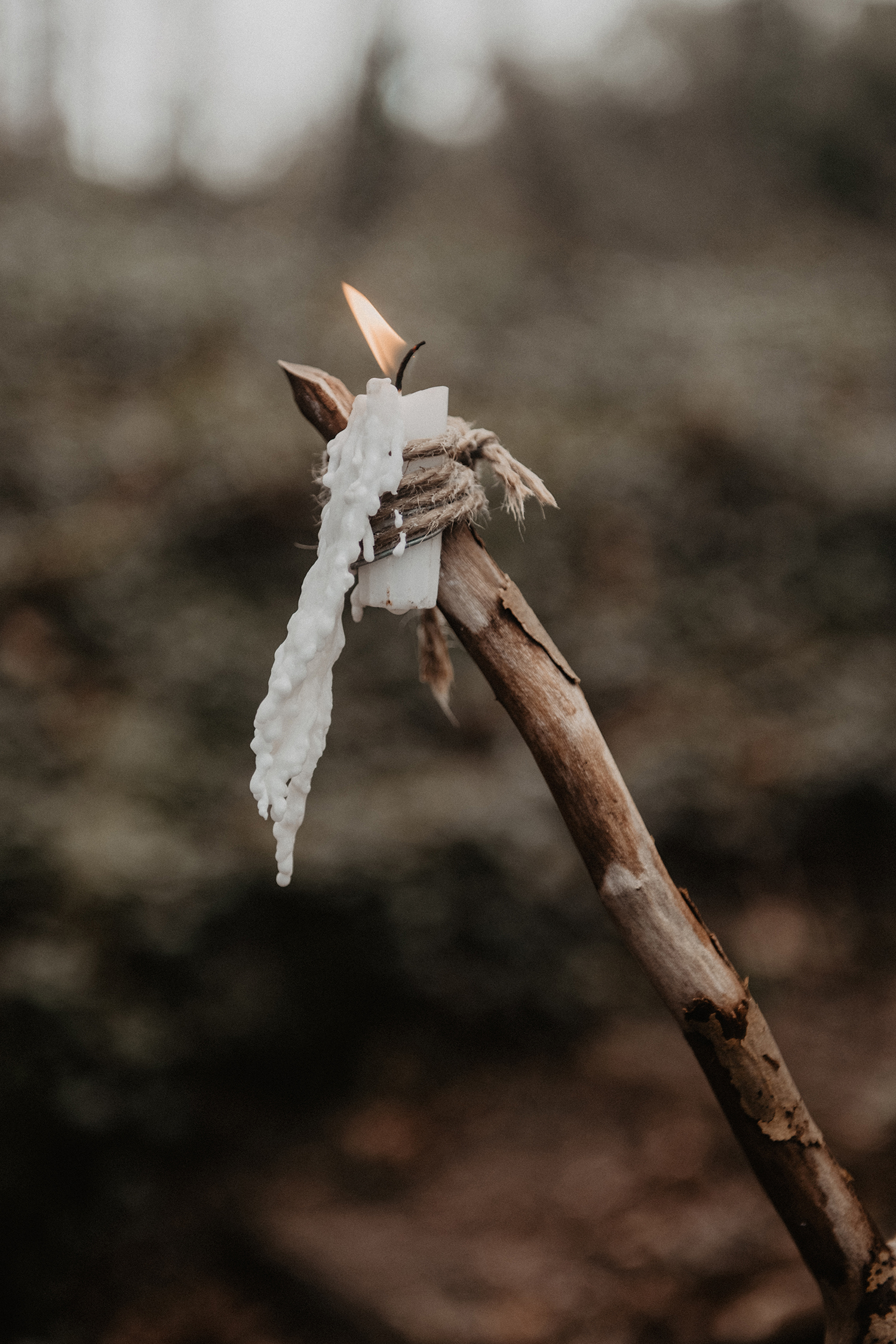 Elopement Sauvage - Blog Mariage Madame C