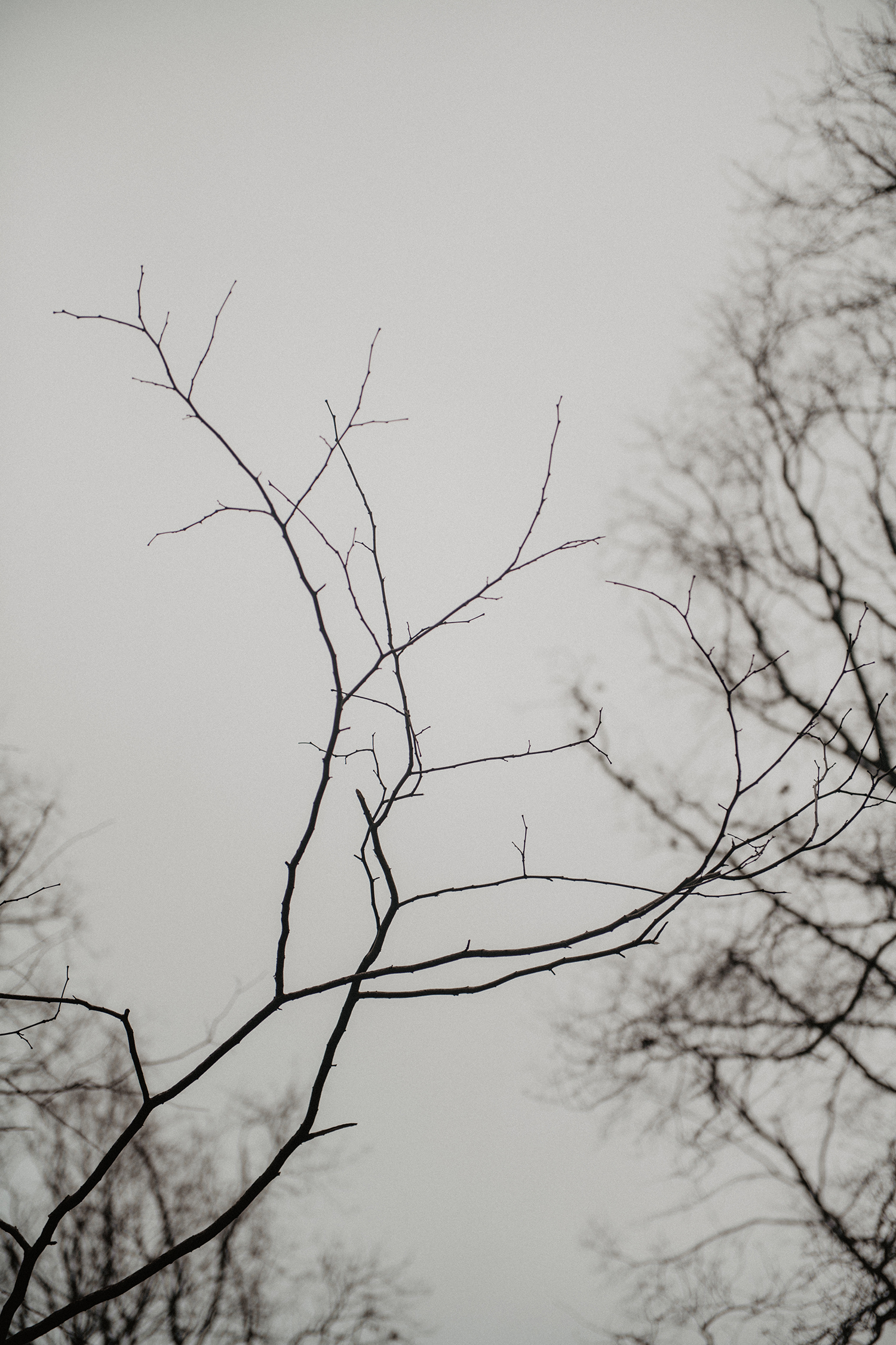 Elopement Sauvage - Blog Mariage Madame C