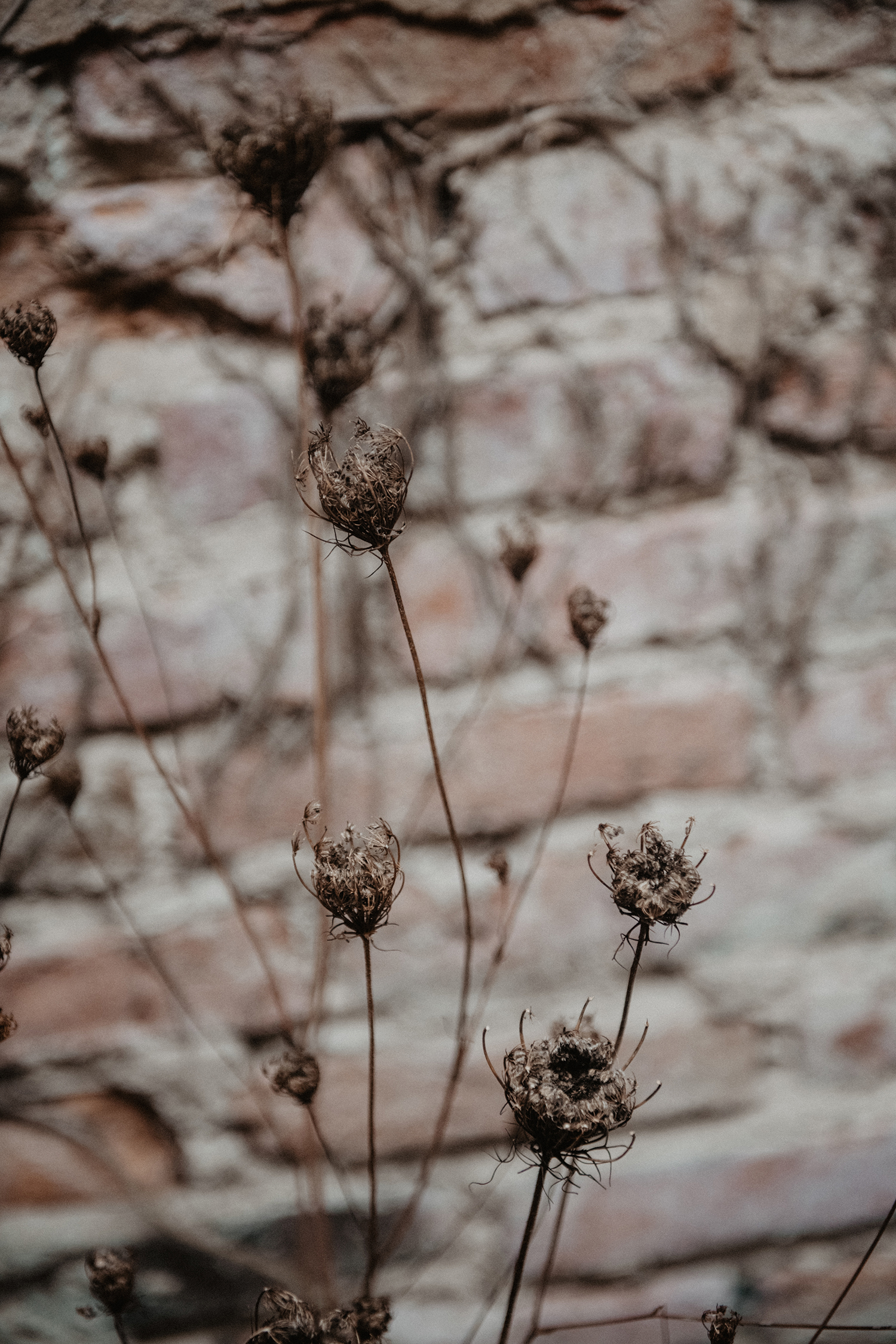 Elopement Sauvage - Blog Mariage Madame C