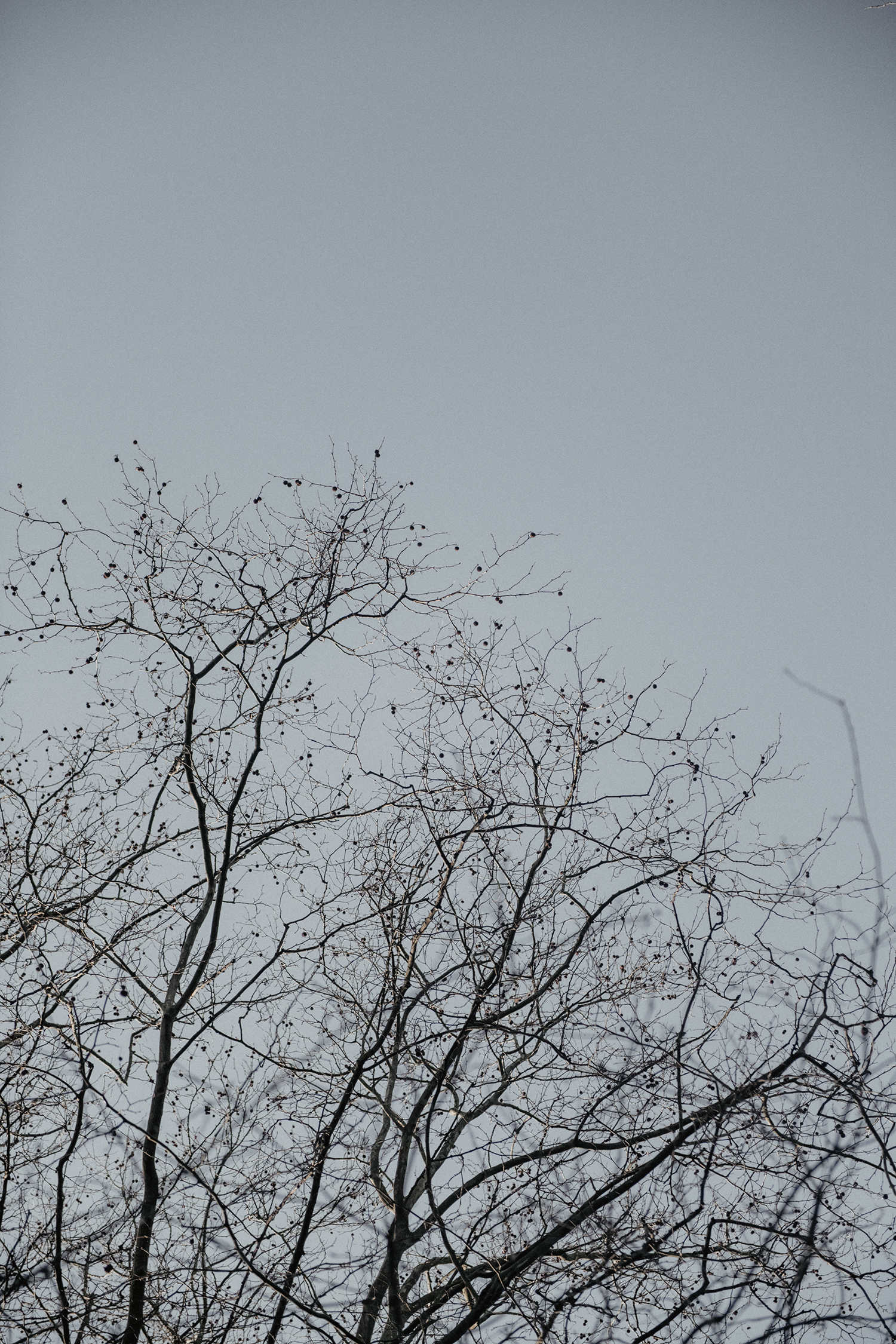 Elopement Sauvage - Blog Mariage Madame C