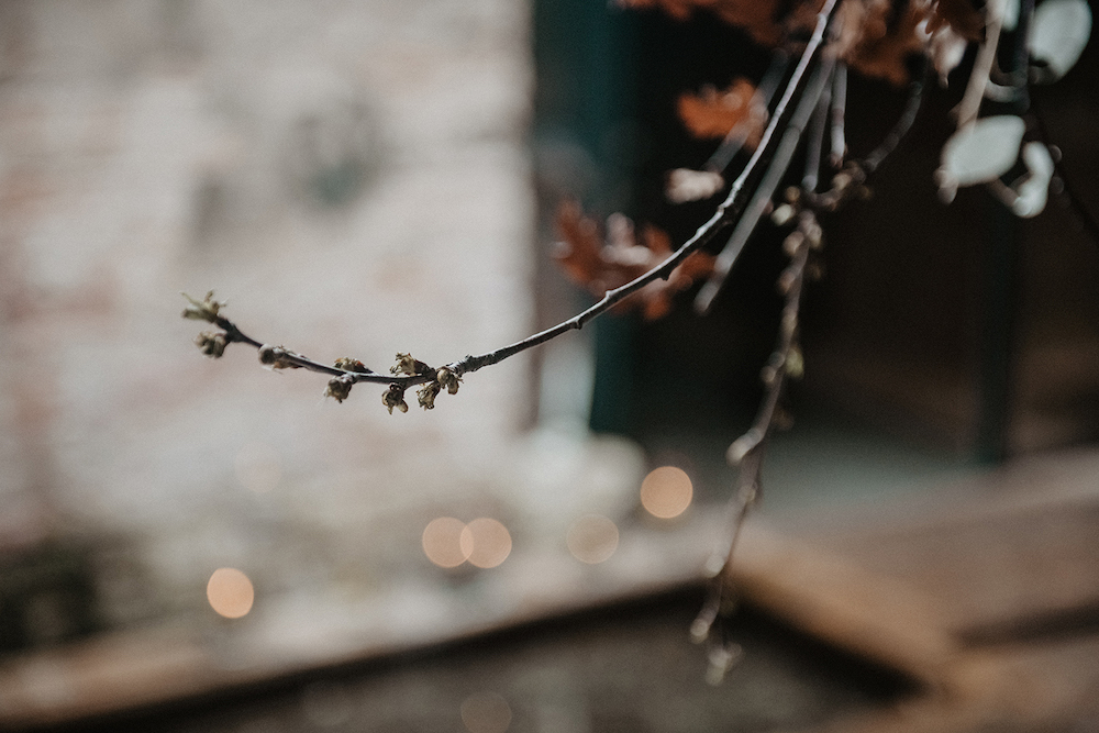 Elopement Sauvage - Blog Mariage Madame C