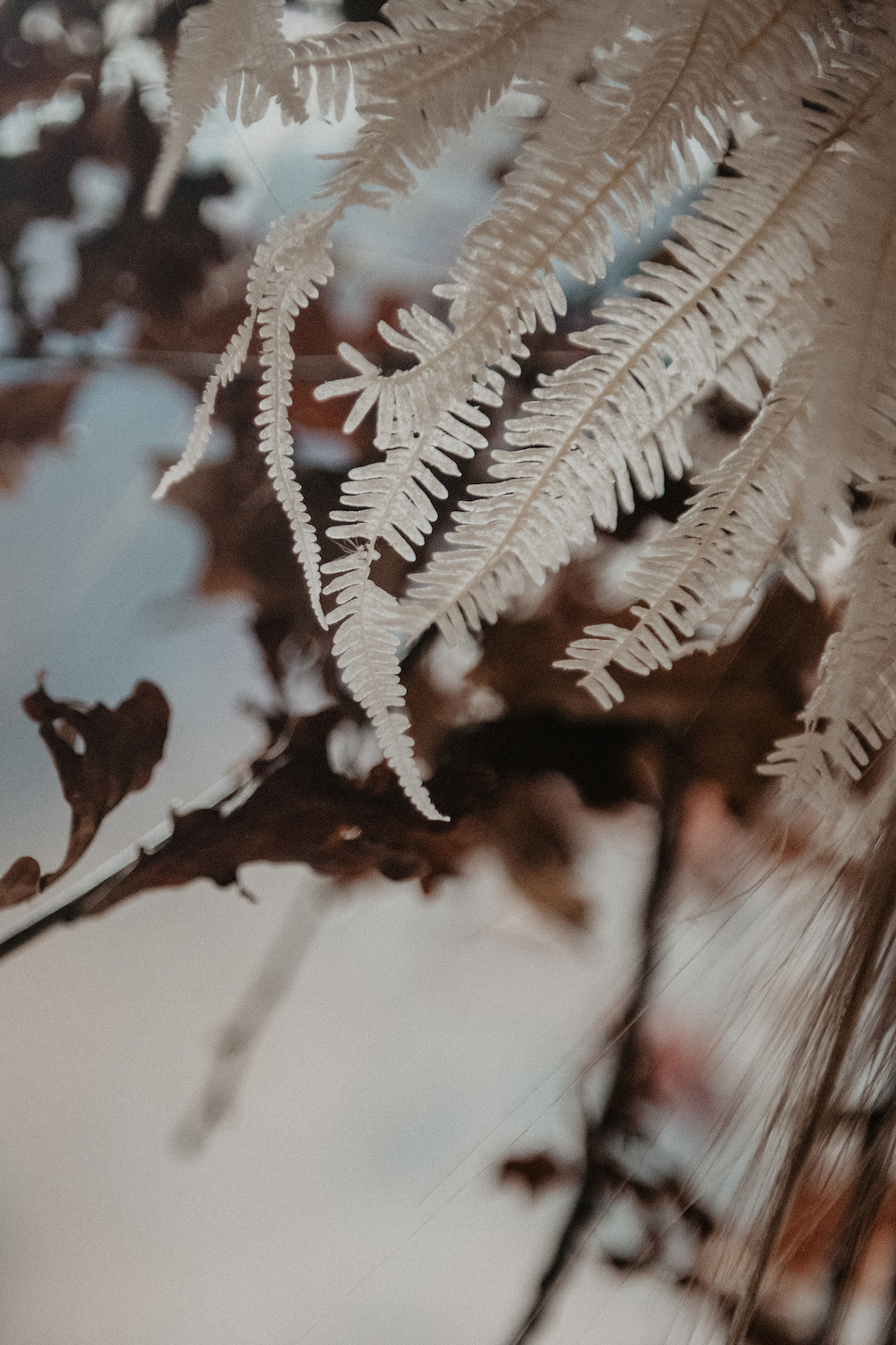 Elopement Sauvage - Blog Mariage Madame C