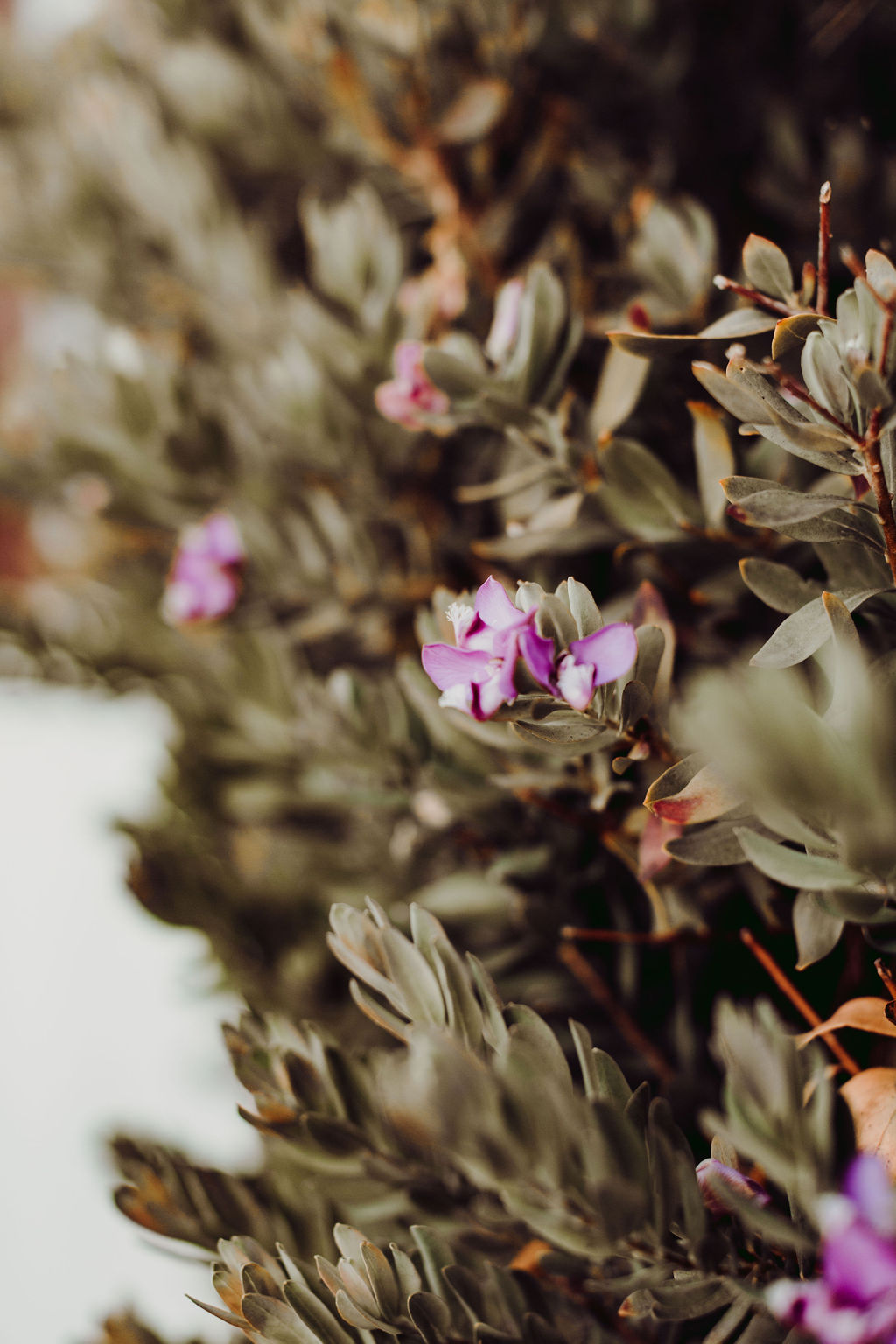 Mariage intime à Majorque - Sandra + Jean-Philippe - Blog Mariage Madame C