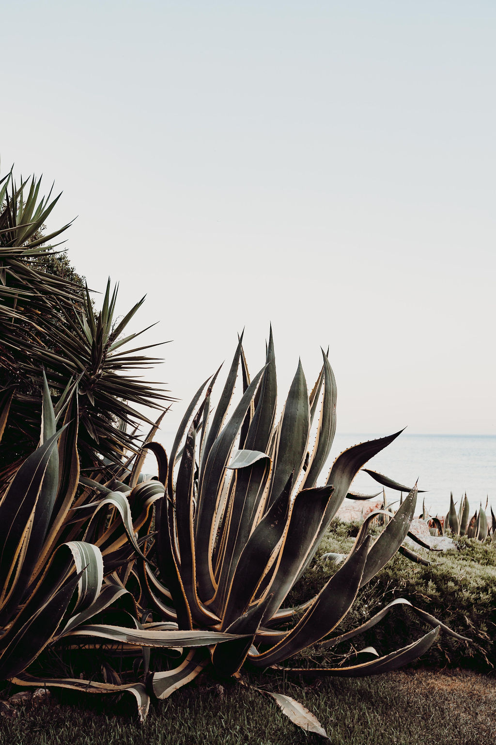 Mariage intime à Majorque - Sandra + Jean-Philippe - Blog Mariage Madame C