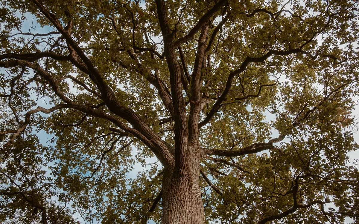 Mariage bohème automnal - Coralie + Bastien - Blog Mariage Madame C