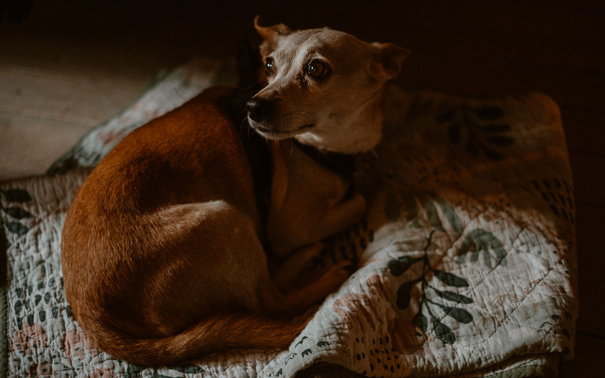 Mariage bohème automnal - Coralie + Bastien - Blog Mariage Madame C