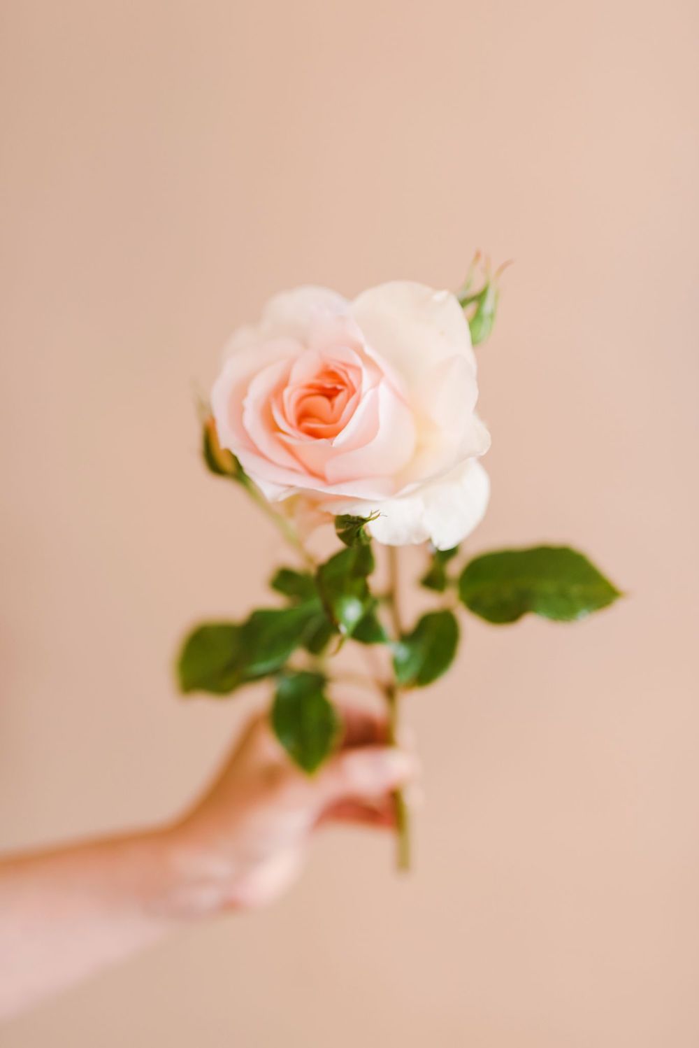 Fleurs d'Automne - Blog Mariage Madame C Fleurs d'Automne - Blog Mariage Madame C