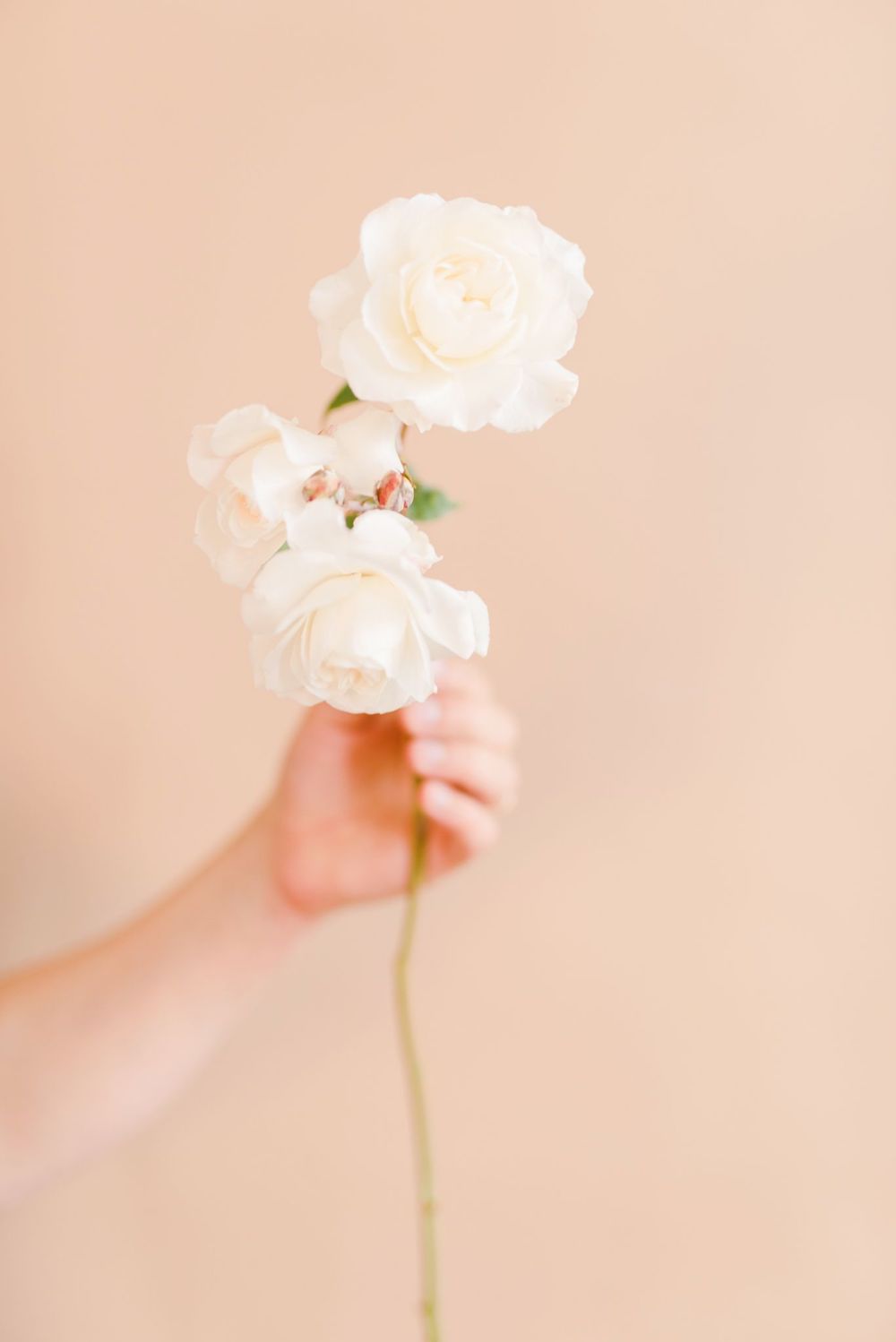 Fleurs d'Automne - Blog Mariage Madame C Fleurs d'Automne - Blog Mariage Madame C