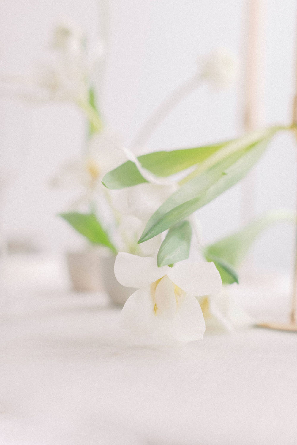 Fleurs d'Automne - Blog Mariage Madame C Fleurs d'Automne - Blog Mariage Madame C