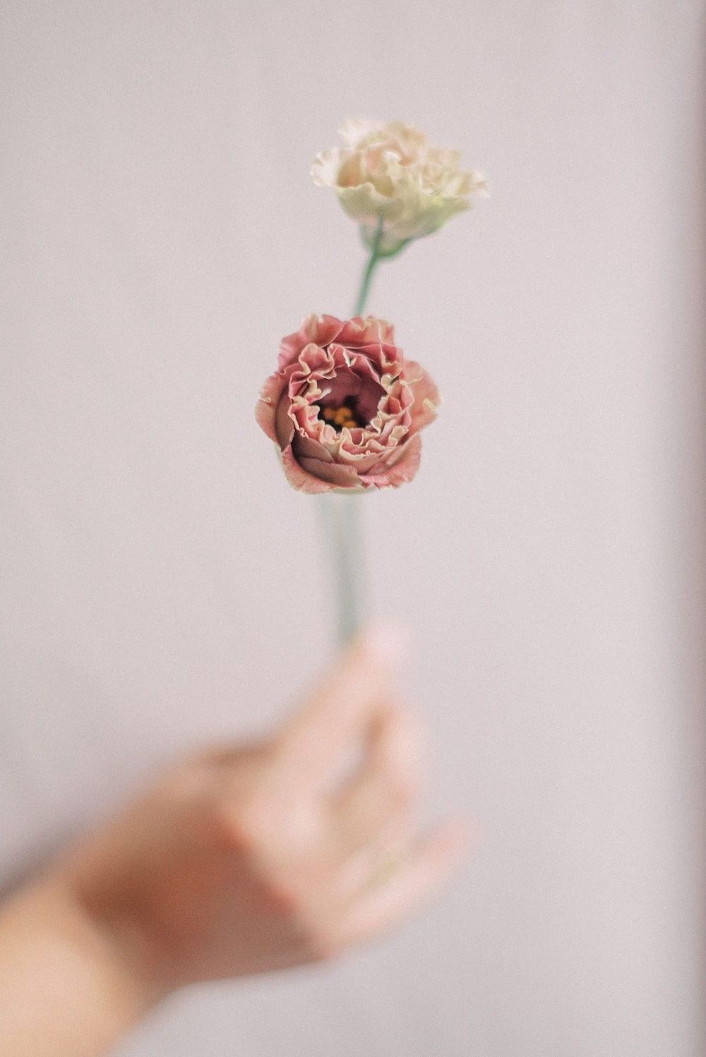 Fleurs d'Automne - Blog Mariage Madame C Fleurs d'Automne - Blog Mariage Madame C