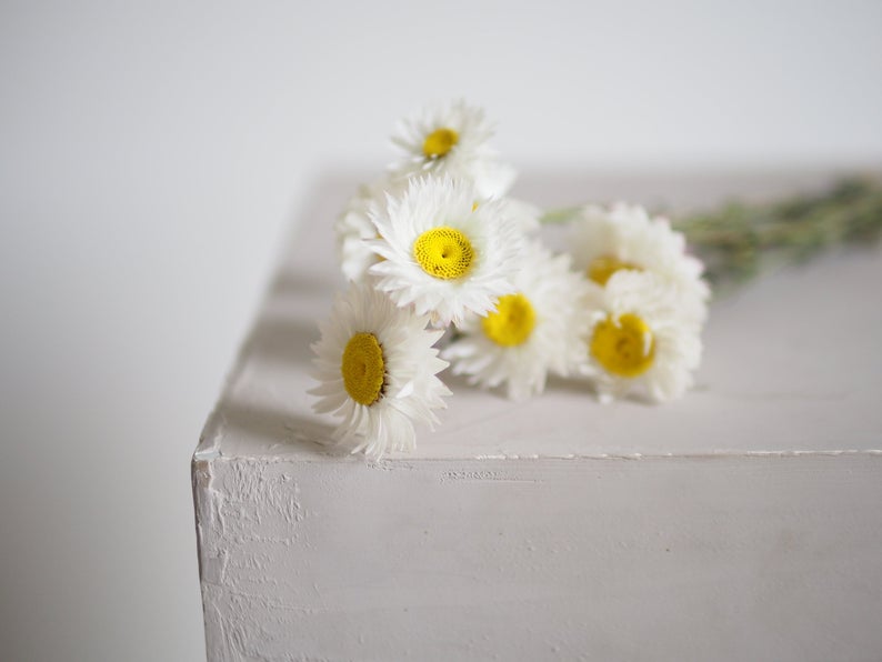 Où acheter des fleurs séchées pour son mariage ? - Blog Mariage Madame C