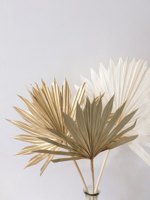 Fleurs séchées Palmes Les Herbes Hautes