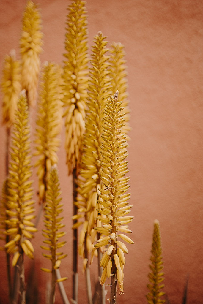 Rendez-vous à Marrakech - Carla + Steven - Blog Mariage Madame C Rendez-vous à Marrakech - Carla + Steven - Blog Mariage Madame C