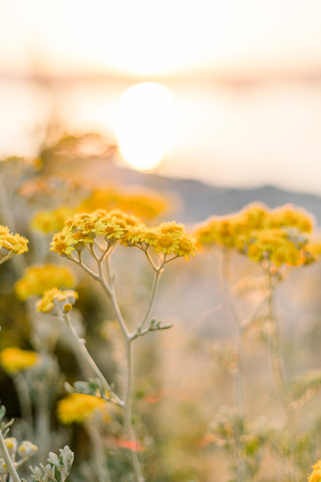 Un elopement au Cap d'Antibes - Blog Mariage Madame C