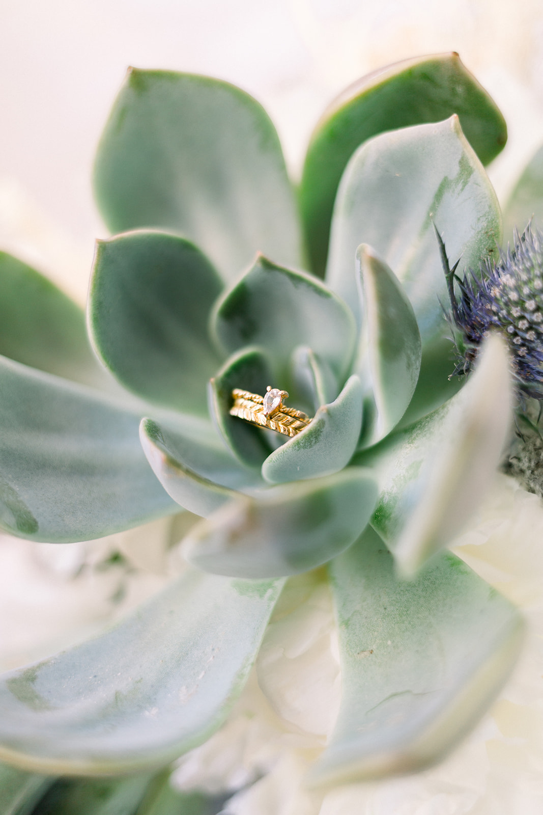 Un elopement au Cap d'Antibes - Blog Mariage Madame C