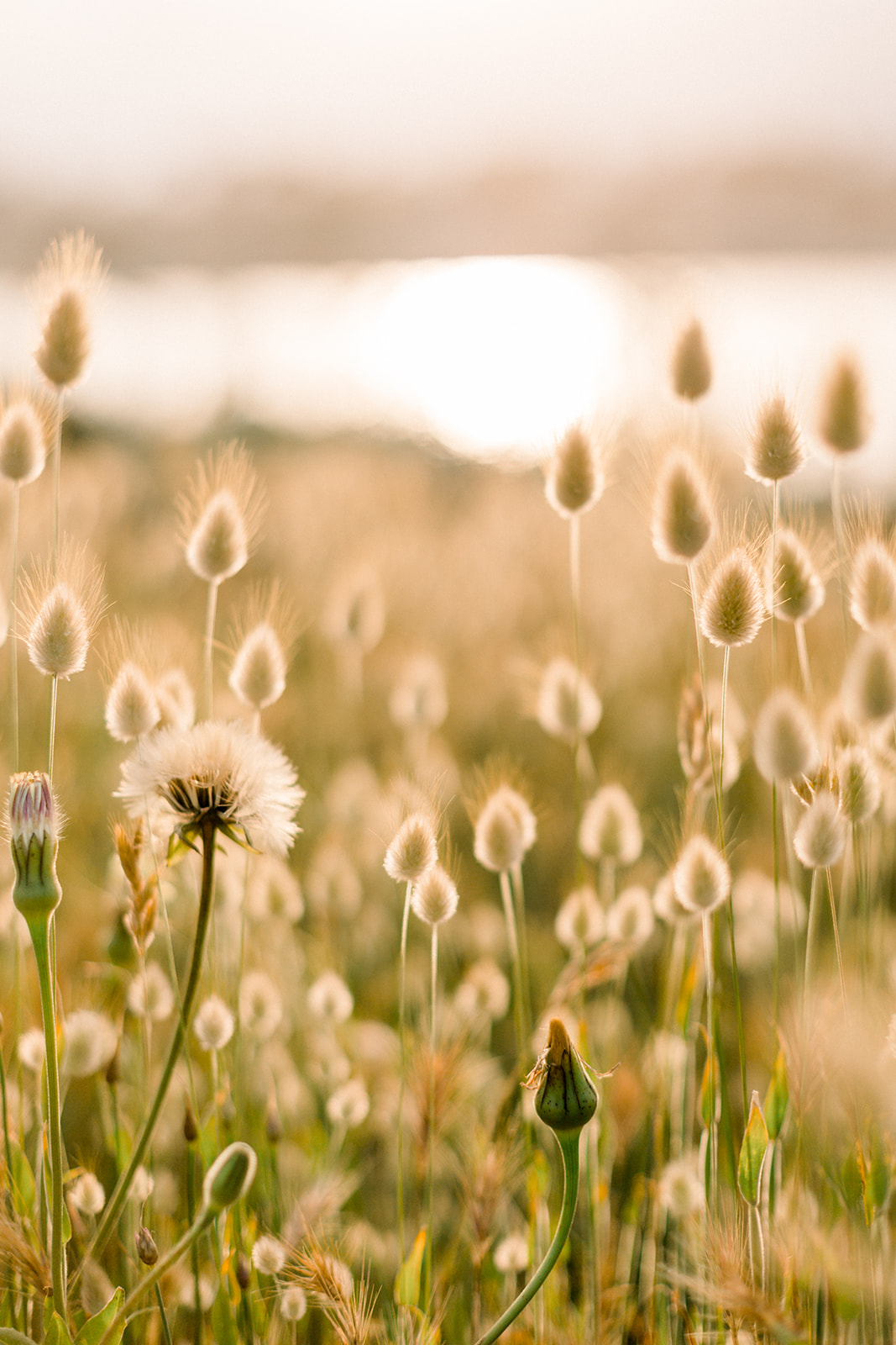 Un elopement au Cap d'Antibes - Blog Mariage Madame C
