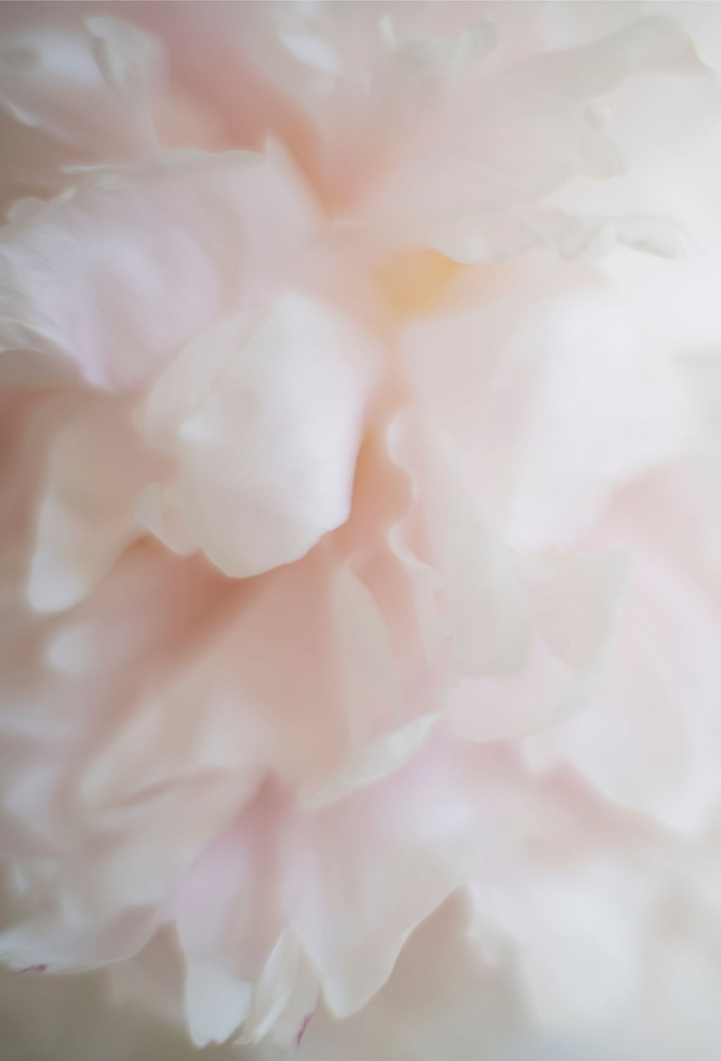 Emmanuelle Marty, Photographe de mariage - Blog Mariage Madame C Emmanuelle Marty, Photographe de mariage - Blog Mariage Madame C