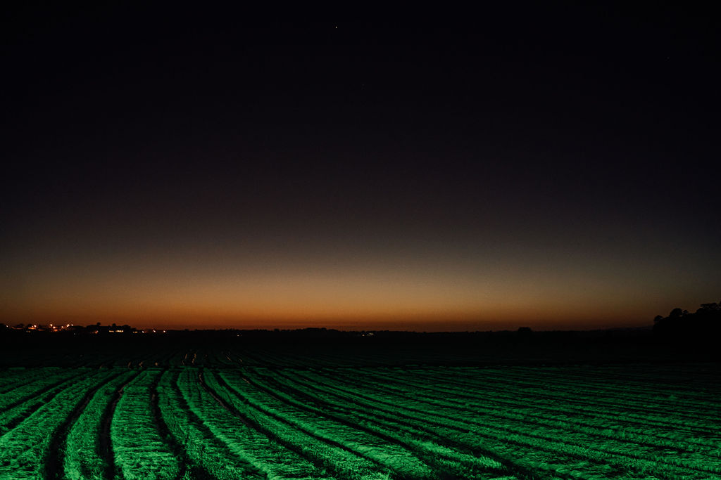 Mariage au Portugal à Quinta da Comporta - Marianne + Stanislas - Blog Mariage Madame C