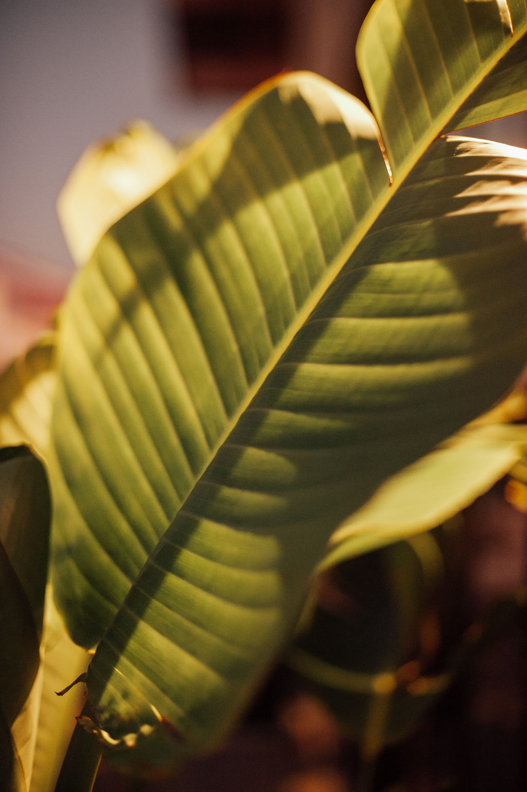 Mariage au Portugal à Quinta da Comporta - Marianne + Stanislas - Blog Mariage Madame C