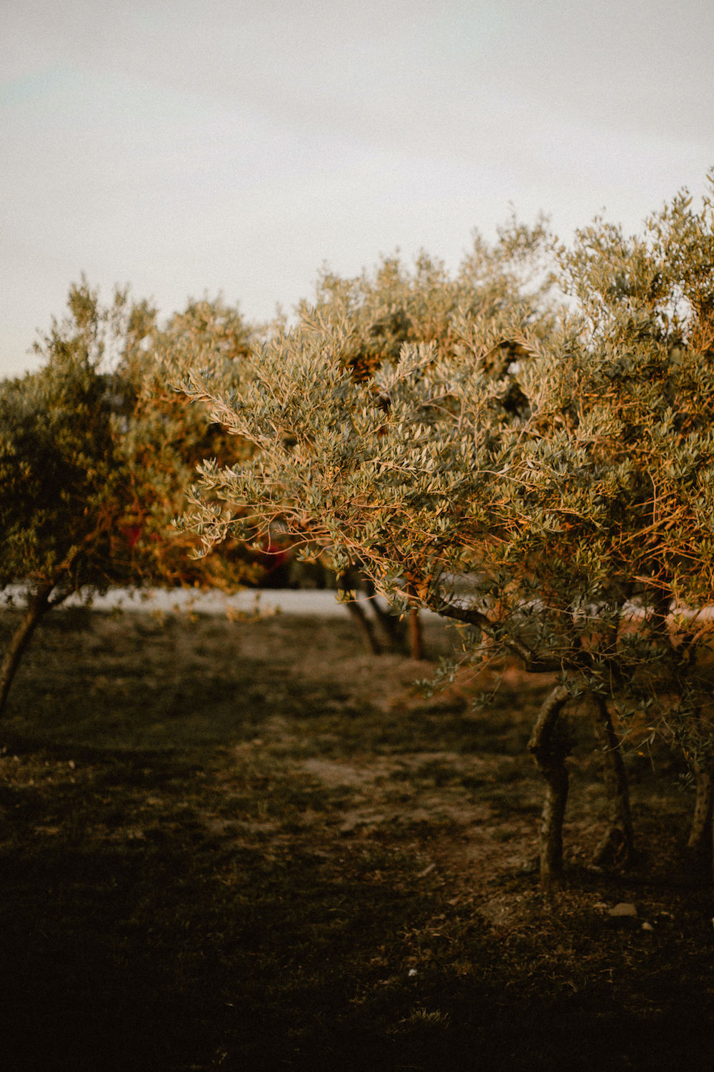 Mariage en Provence au Petit Roulet - Anne-Sophie + Christophe - Blog Mariage Madame C Mariage en Provence au Petit Roulet - Anne-Sophie + Christophe - Blog Mariage Madame C