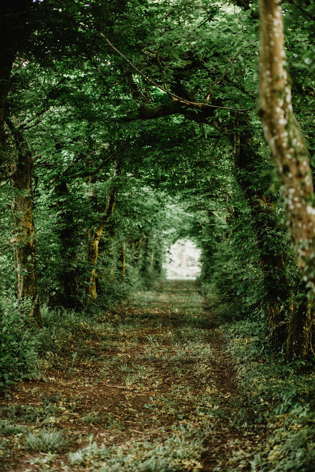 Mariage au château de Montplaisant - Marion + Matthieu - Blog Mariage Madame C