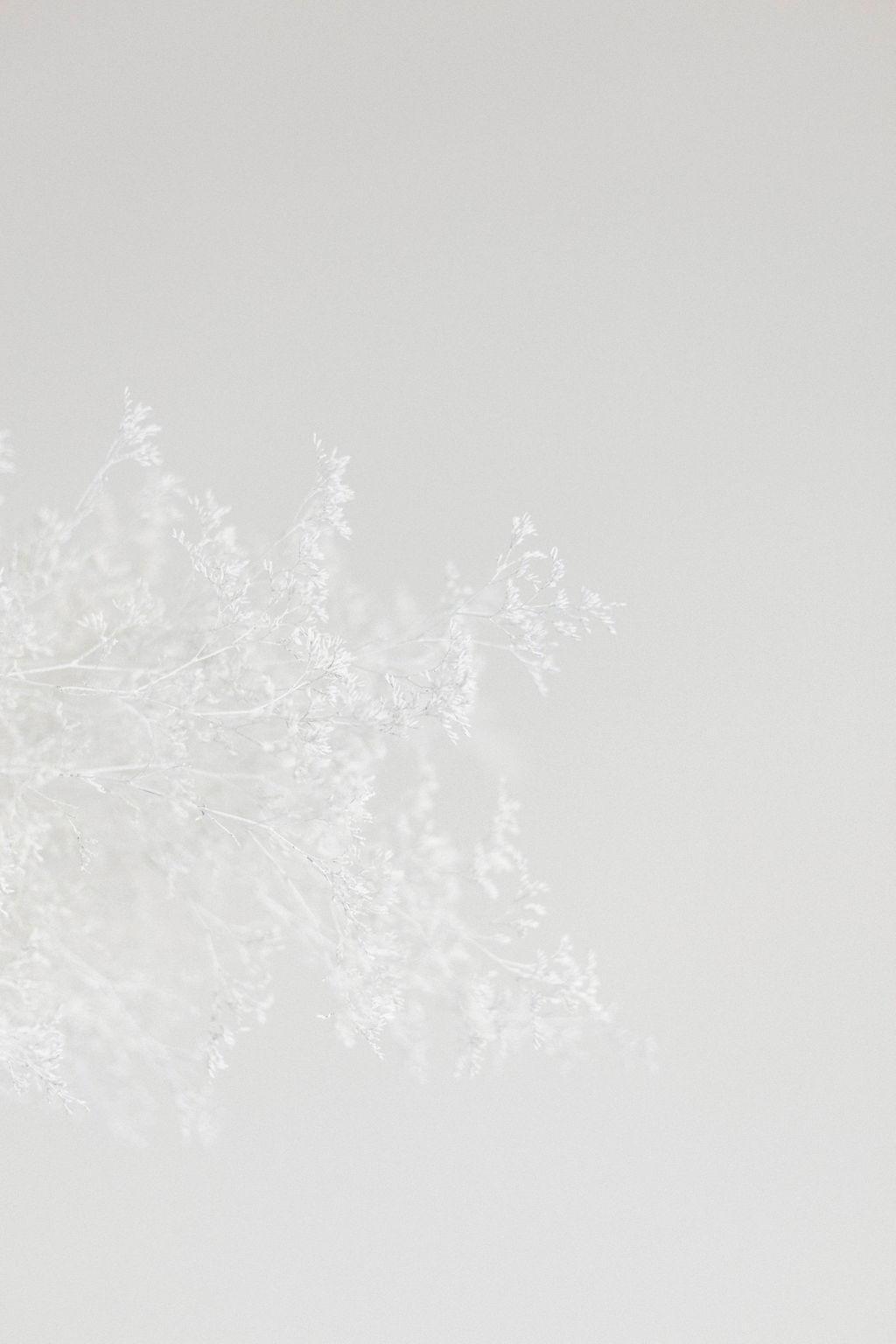 White Lockdown - Blog Mariage Madame C