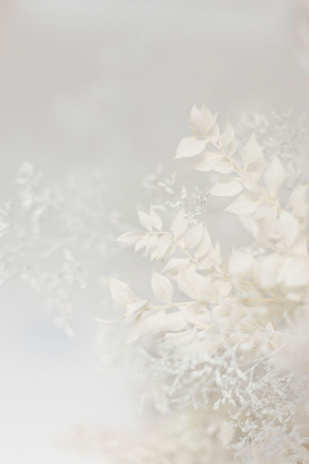 White Lockdown - Blog Mariage Madame C