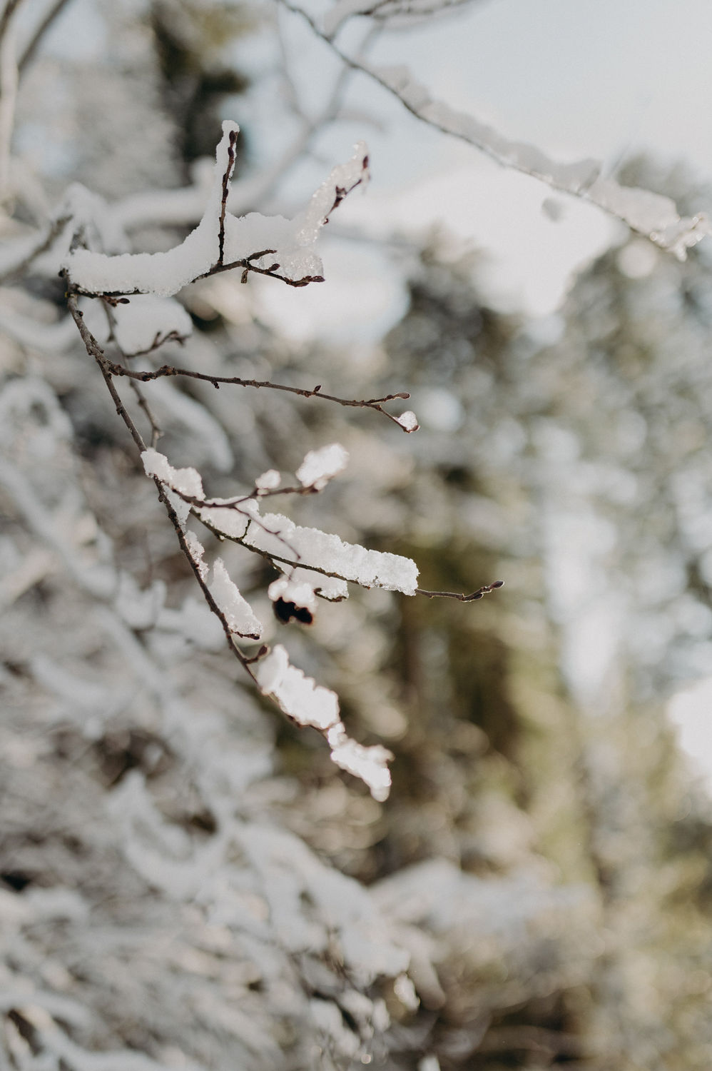 Mariage d'hiver en Haute-Savoie - Fanny + Nathan - Blog Mariage Madame C Mariage d'hiver en Haute-Savoie - Fanny + Nathan - Blog Mariage Madame C