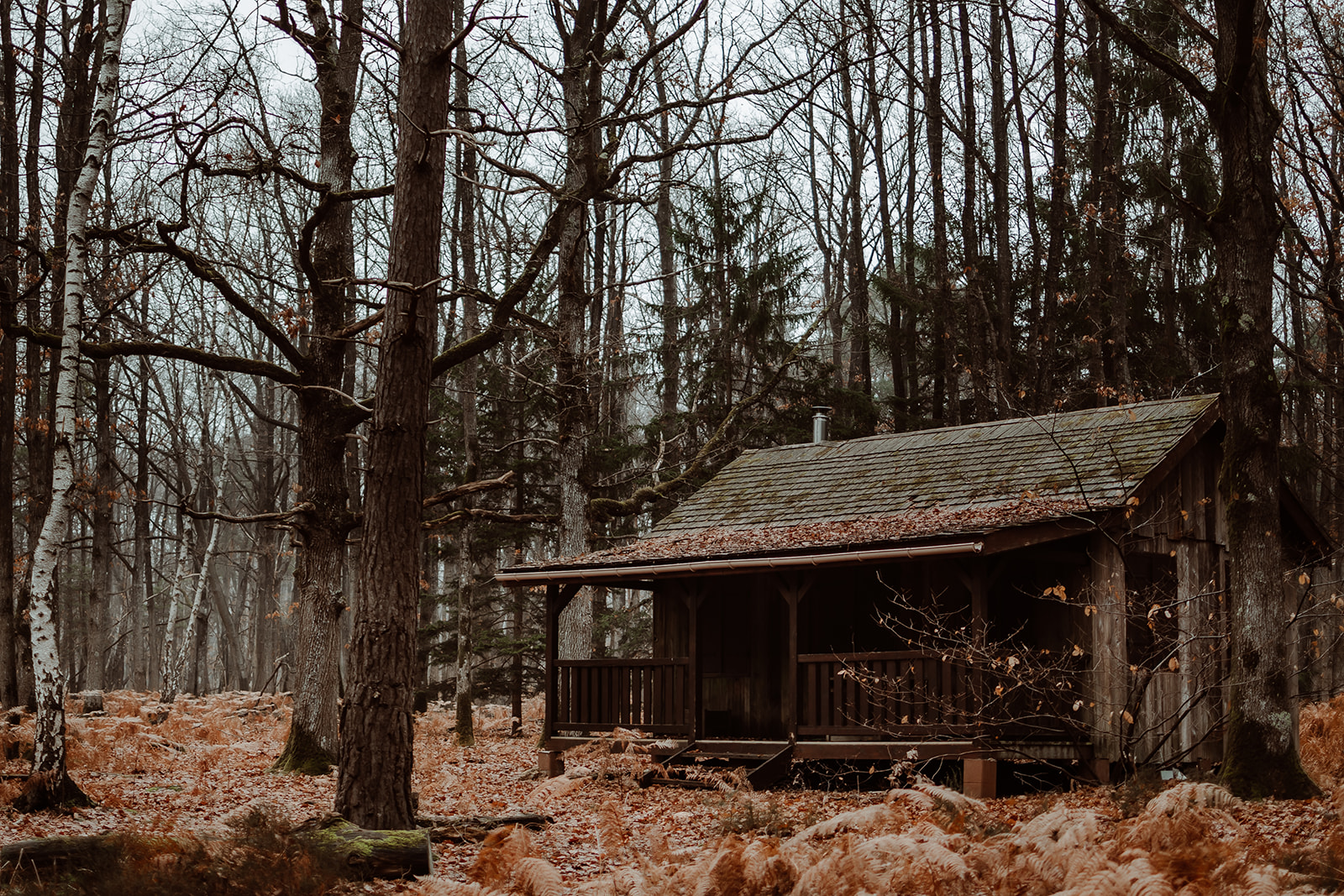 Noces de Noël - Blog Mariage Madame C Noces de Noël - Blog Mariage Madame C