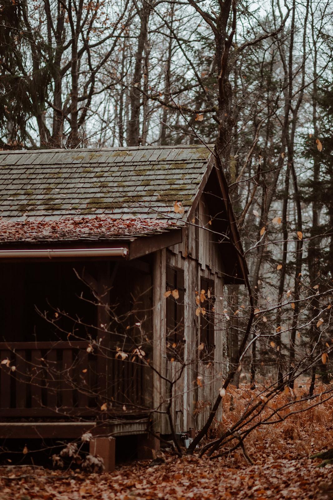 Noces de Noël - Blog Mariage Madame C Noces de Noël - Blog Mariage Madame C