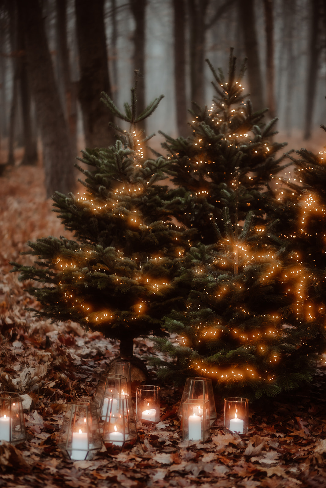 Noces de Noël - Blog Mariage Madame C Noces de Noël - Blog Mariage Madame C