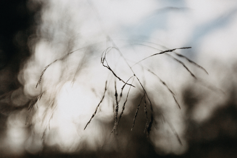 Mariage d'hiver à la Dîme de Giverny - Julia + Romain - Blog Mariage Madame C