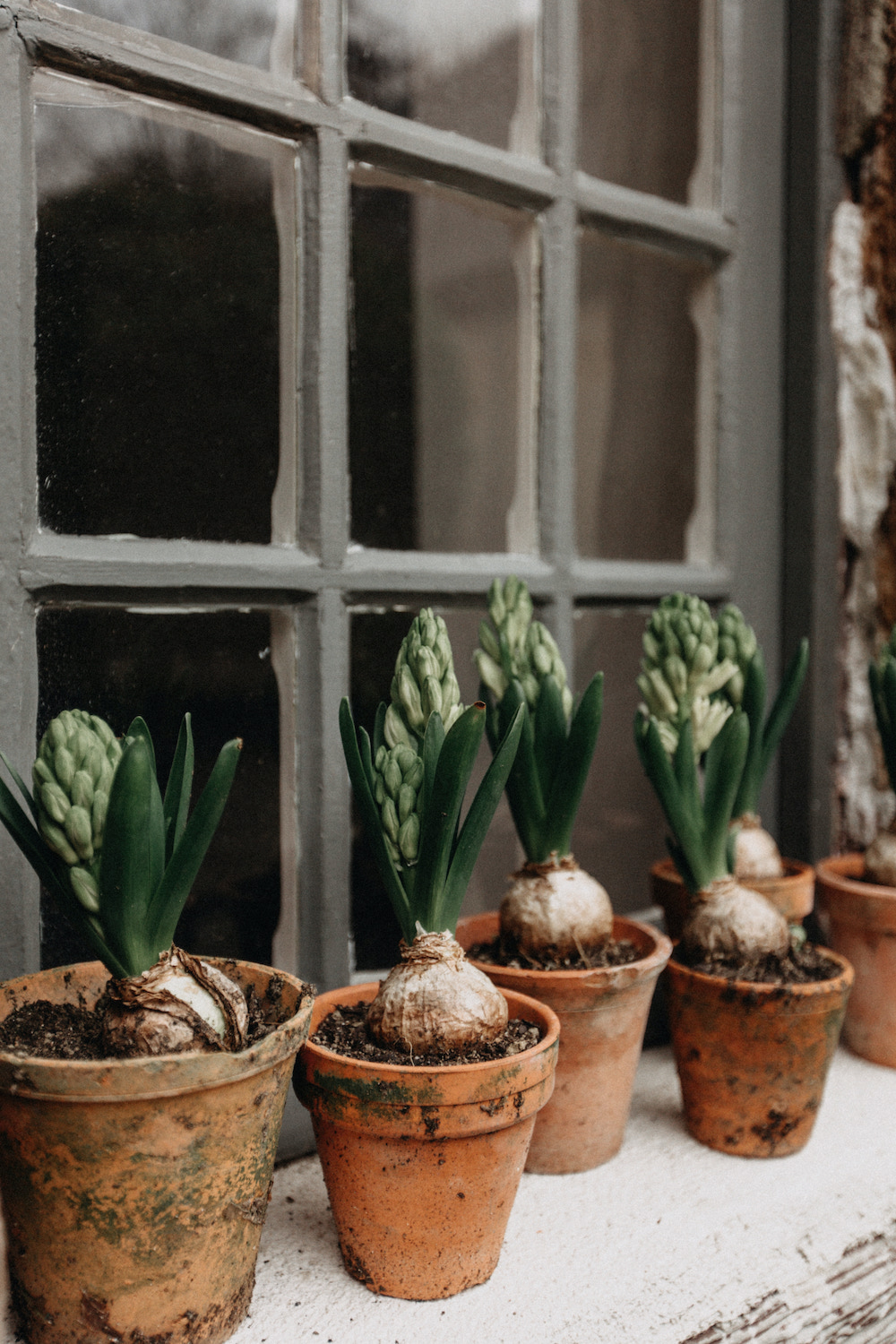 Mariage d'hiver à la Dîme de Giverny - Julia + Romain - Blog Mariage Madame C