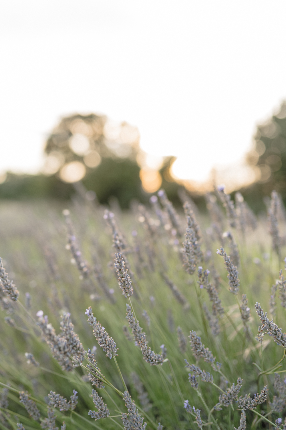 Mariage bohème au Domaine de Sarson - Nathalie + JF - Blog Mariage Madame C