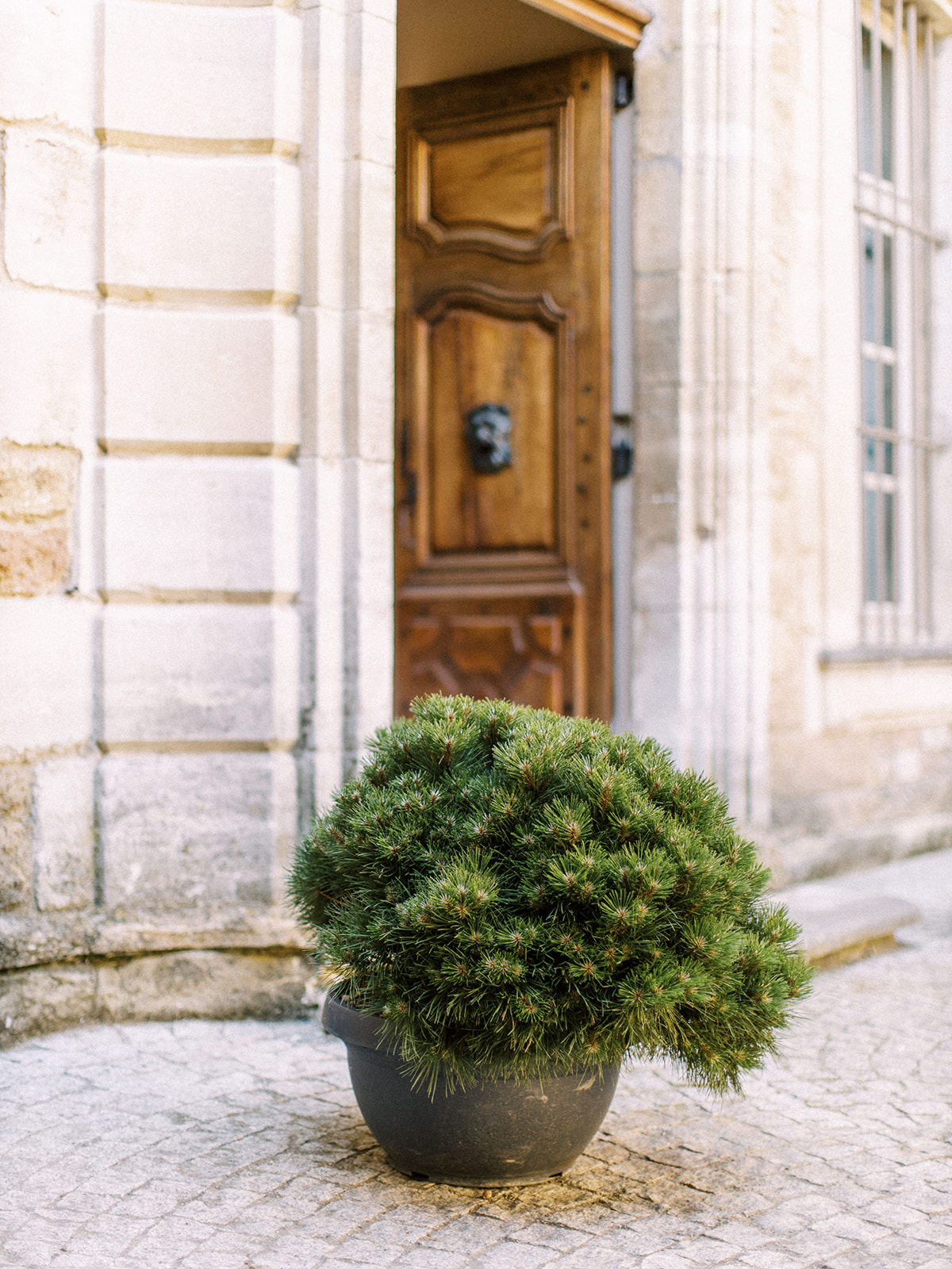 Fugue d'été en Provence - Blog Mariage Madame C