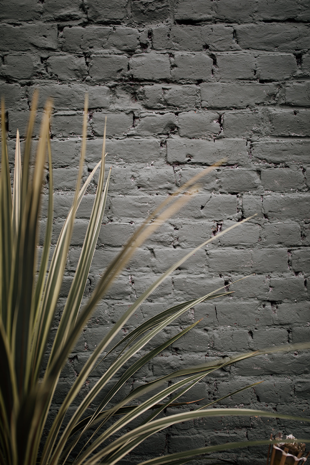 Maïté Bailleul Collection 2021 - Robes de mariée - Blog Mariage Madame C Maïté Bailleul Collection 2021 - Robes de mariée - Blog Mariage Madame C