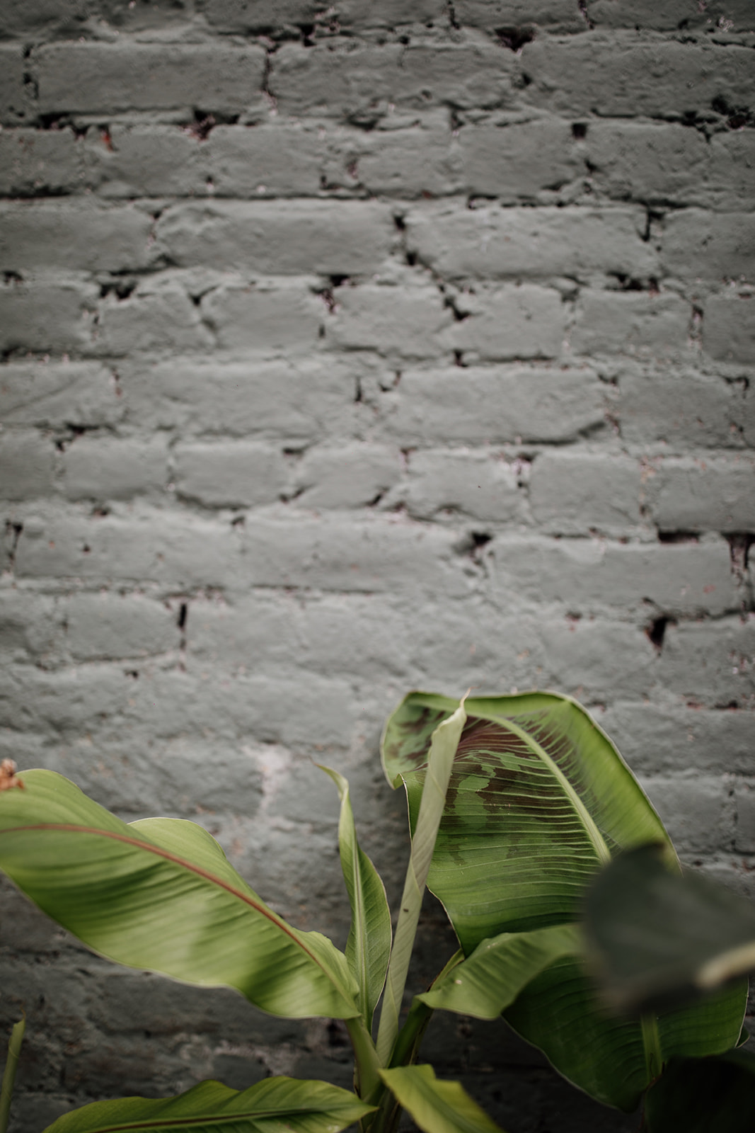 Maïté Bailleul Collection 2021 - Robes de mariée - Blog Mariage Madame C Maïté Bailleul Collection 2021 - Robes de mariée - Blog Mariage Madame C