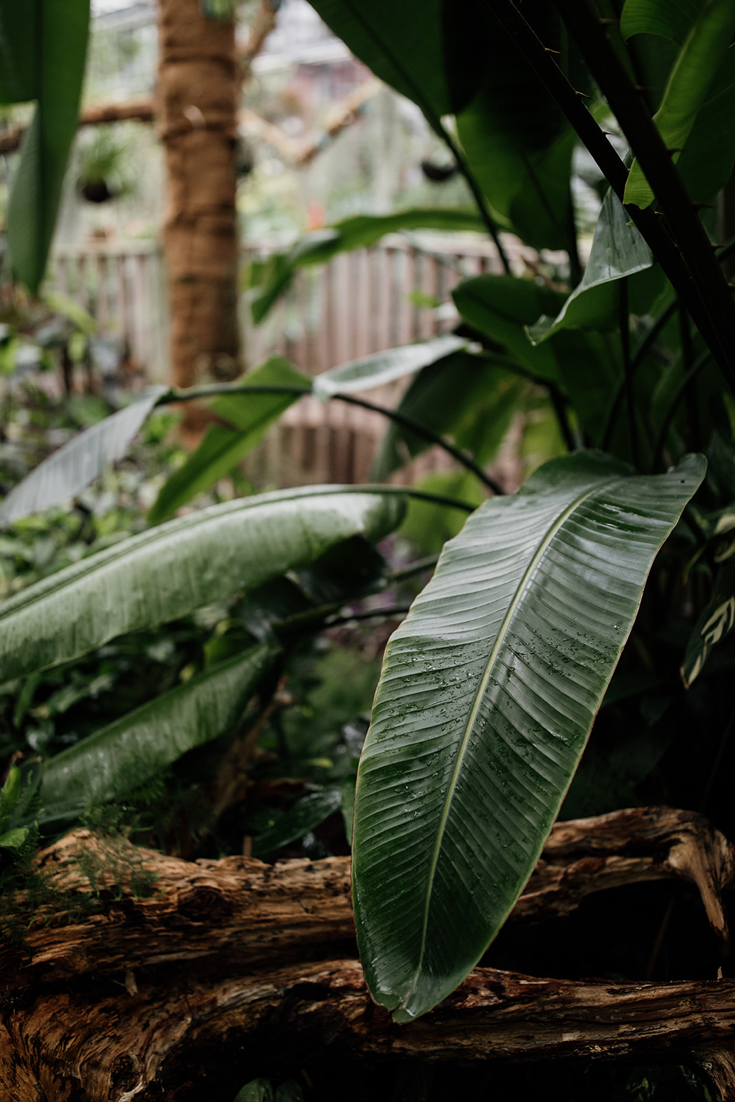 Maïté Bailleul Collection 2021 - Robes de mariée - Blog Mariage Madame C Maïté Bailleul Collection 2021 - Robes de mariée - Blog Mariage Madame C