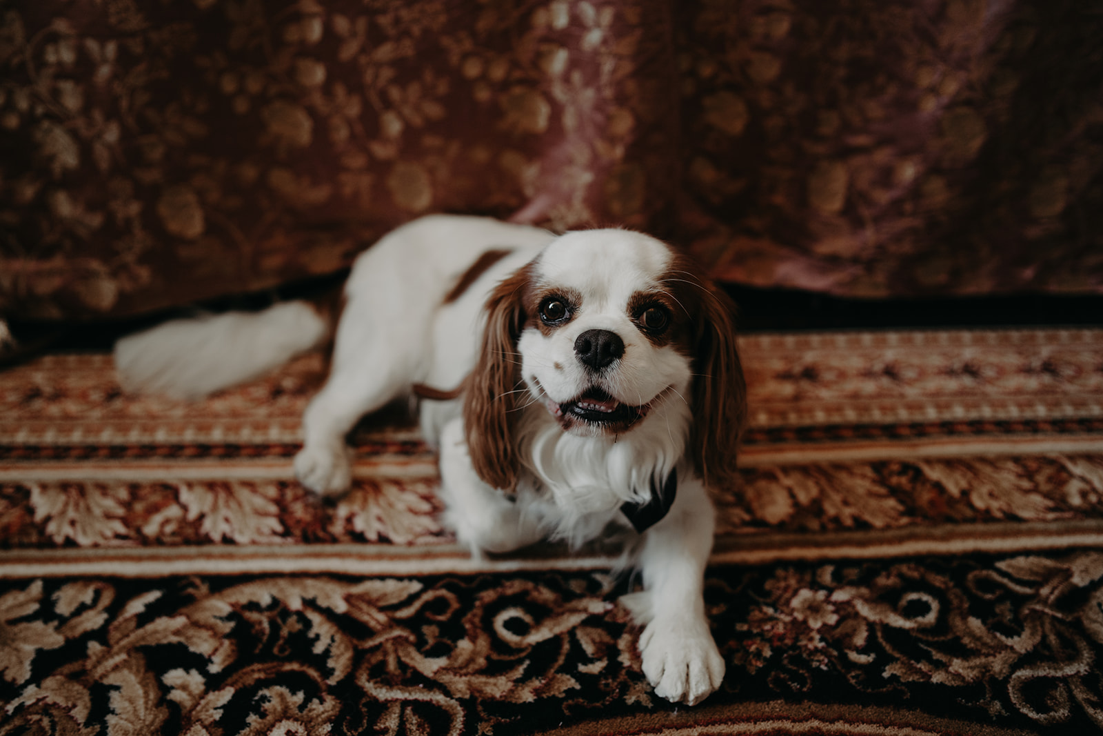 Mariage au Château Bouffémont - Solenne + Stéphane - Blog Mariage Madame C Mariage au Château Bouffémont - Solenne + Stéphane - Blog Mariage Madame C