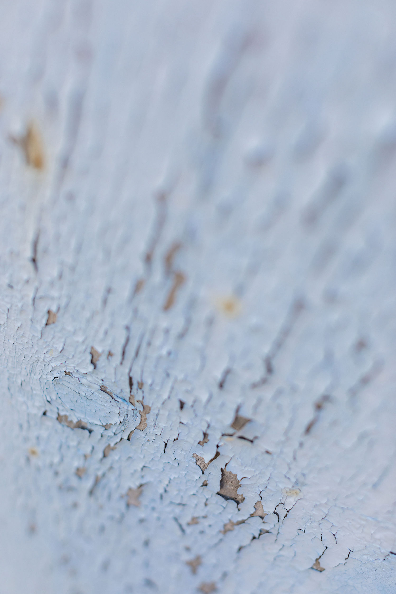 Un elopement bleu méditerrannée - Blog Mariage Madame C Un elopement bleu méditerrannée - Blog Mariage Madame C