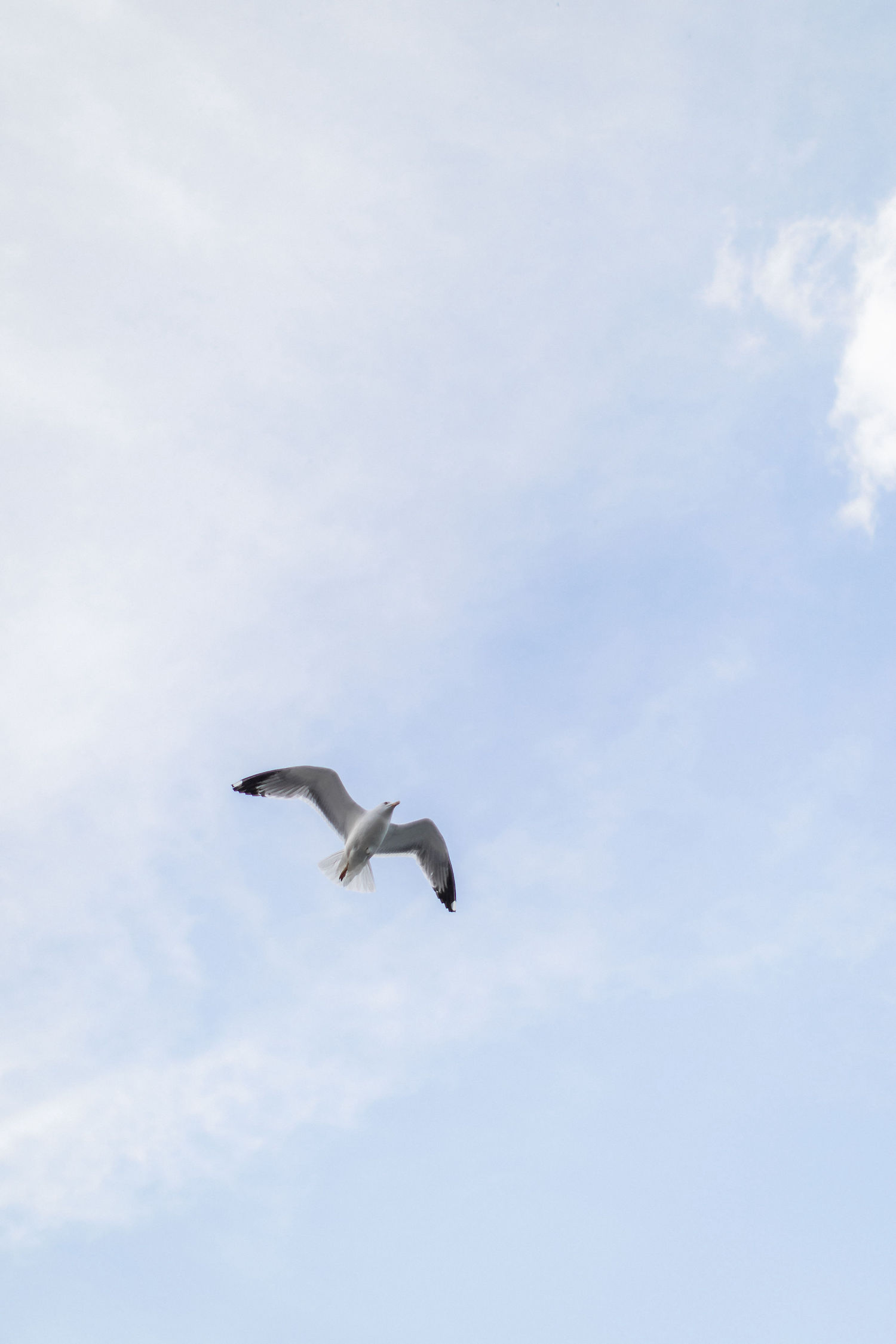 Un elopement bleu méditerrannée - Blog Mariage Madame C Un elopement bleu méditerrannée - Blog Mariage Madame C