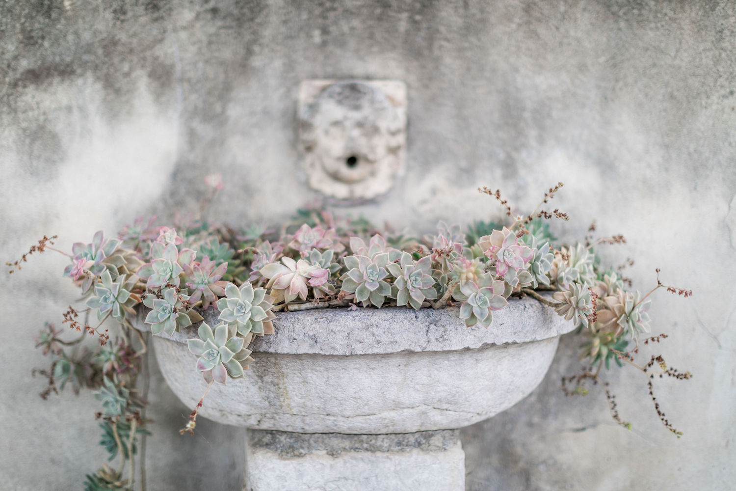Un elopement bleu méditerrannée - Blog Mariage Madame C Un elopement bleu méditerrannée - Blog Mariage Madame C