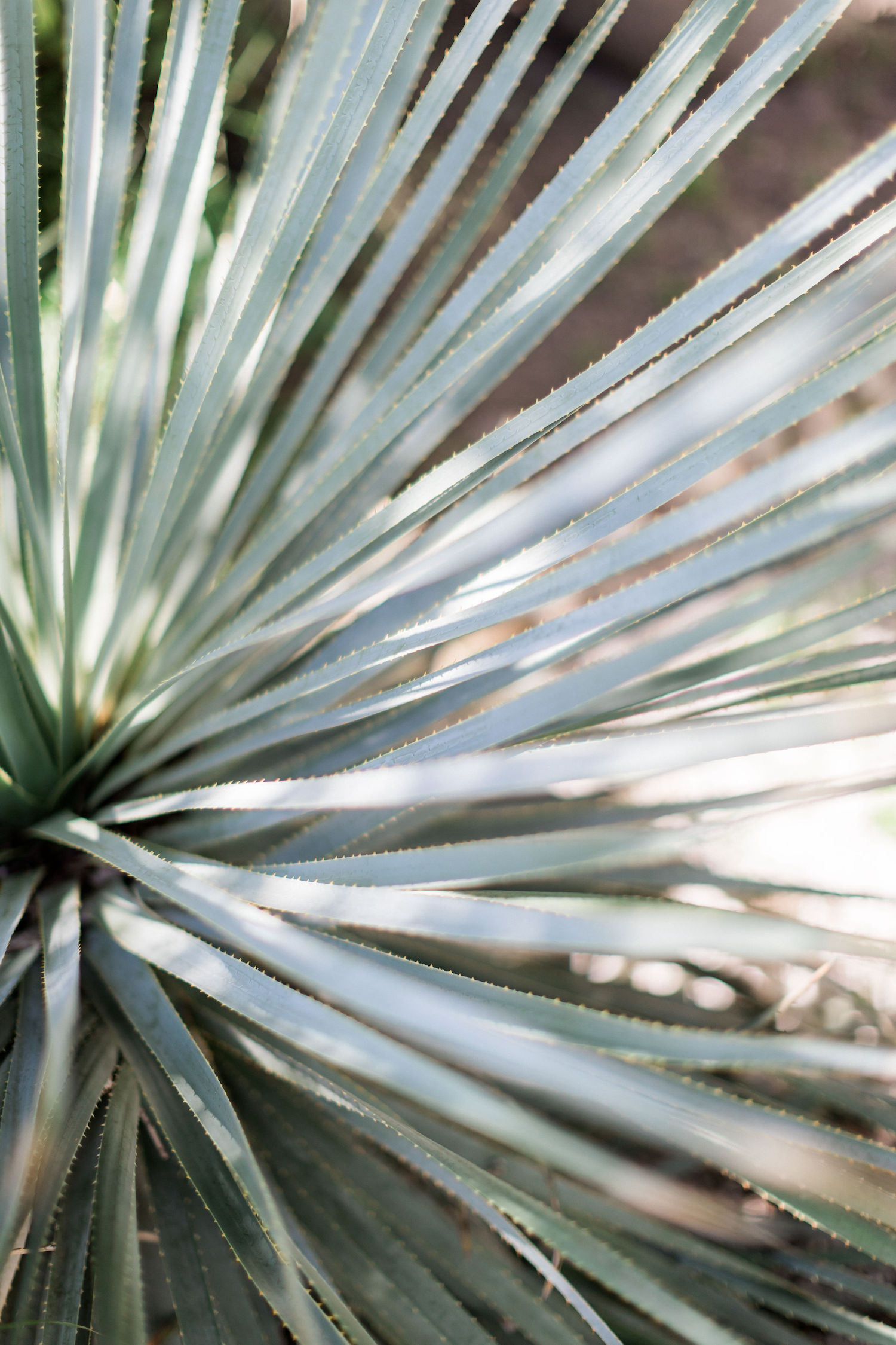 Un elopement bleu méditerrannée - Blog Mariage Madame C Un elopement bleu méditerrannée - Blog Mariage Madame C