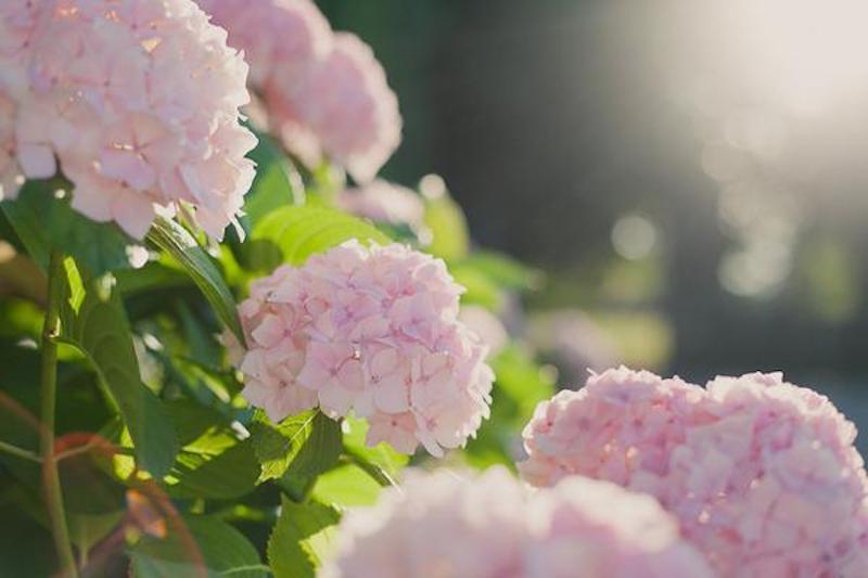 Mariage romantique au Château de Montplaisant - Aude + Gilles - Blog Mariage Madame C