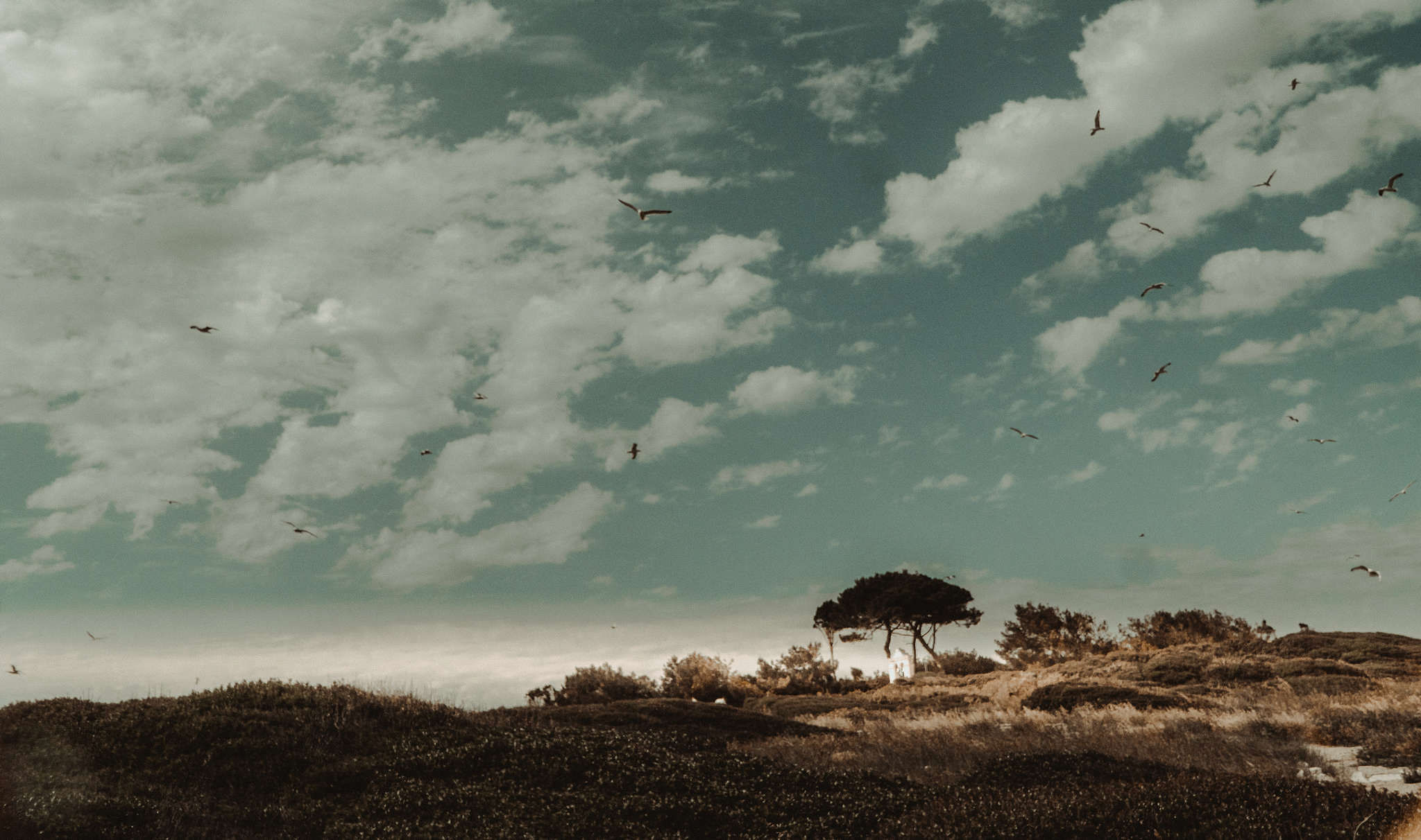Mariage sur l'île de Paxos - Stéphanie + Clément - Blog Mariage Madame C Mariage en Grèce sur l'île de Paxos // Crédits - Eye Witness Stories