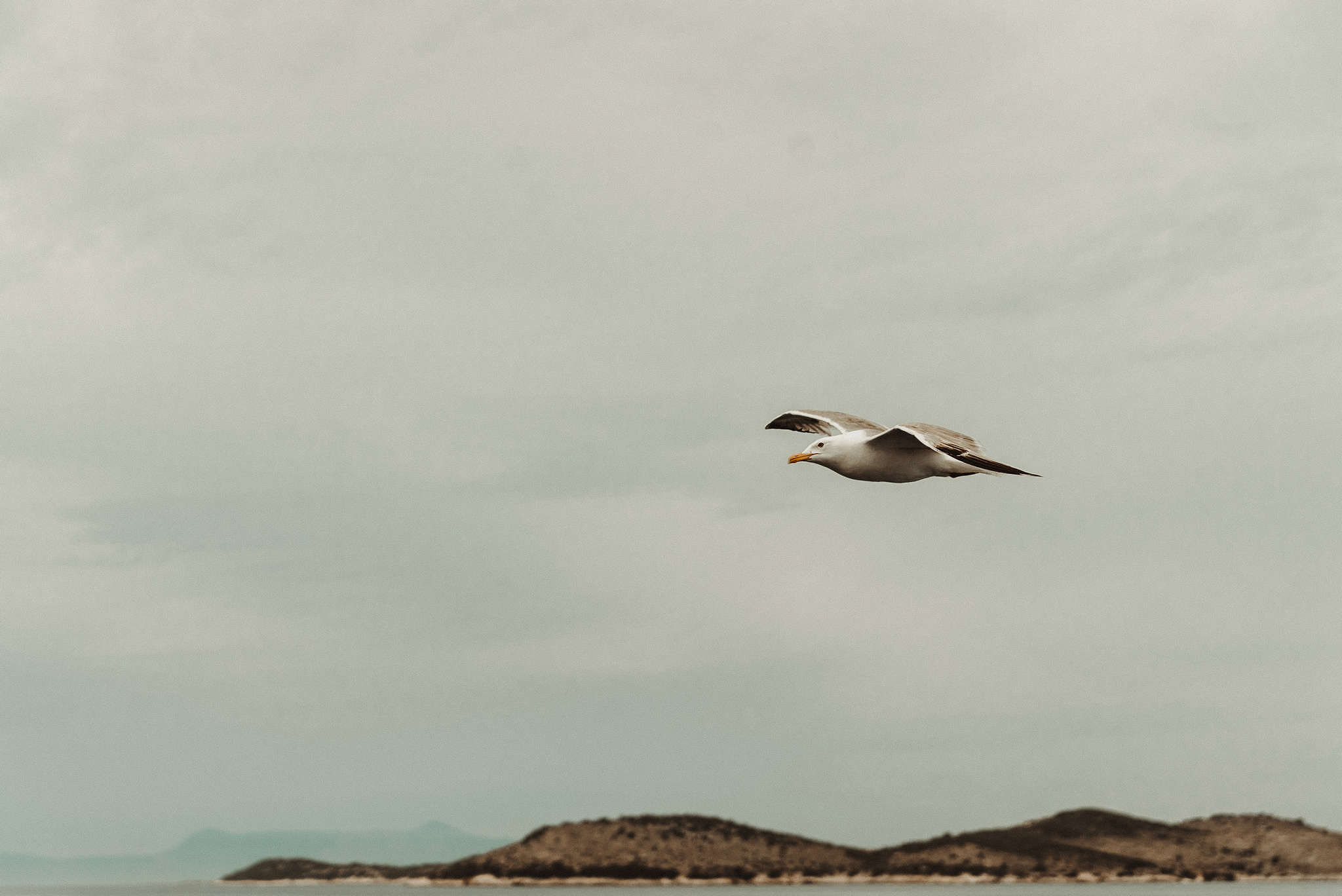 Mariage sur l'île de Paxos - Stéphanie + Clément - Blog Mariage Madame C Mariage sur l'île de Paxos - Stéphanie + Clément - Blog Mariage Madame C