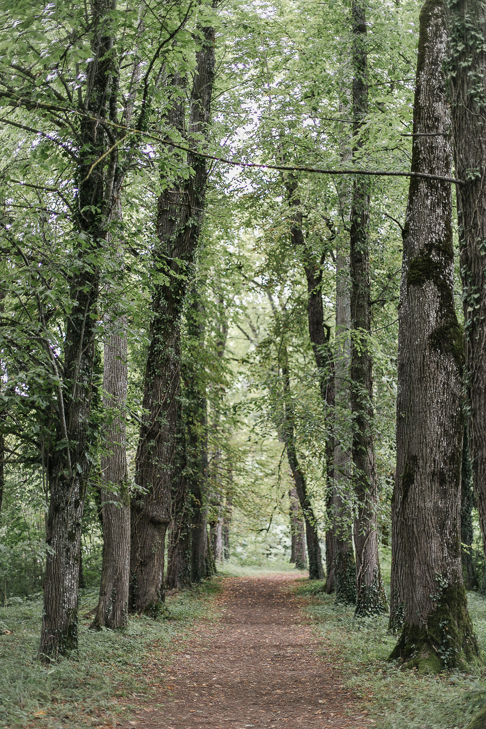 Mariage à la Campagne en Alsace - Julia + Christian - Blog Mariage Madame C